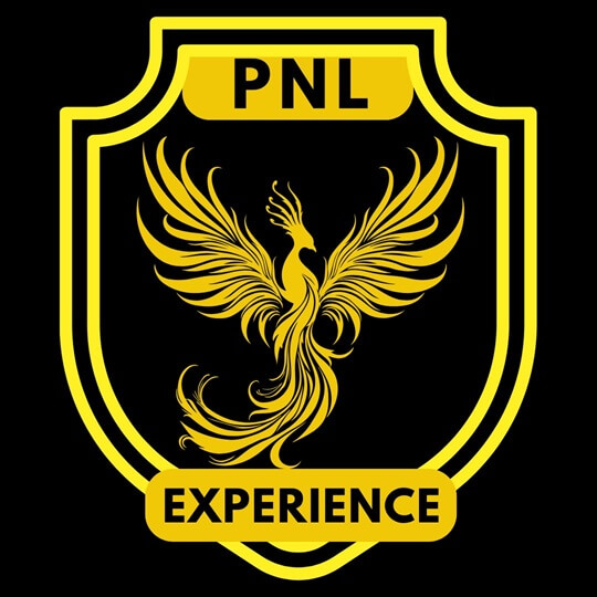 PNL Experience 5